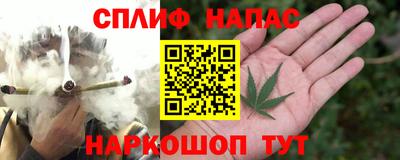 дживик Кунгур