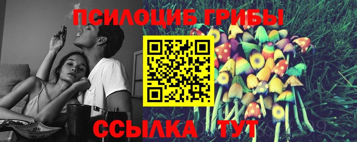Псилоцибиновые грибы Cubensis  Вход с VPN  Ивантеевка 
